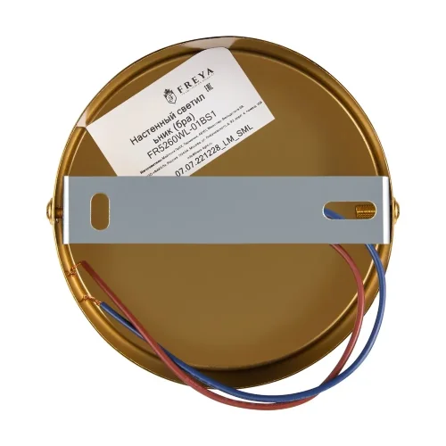 Настенный светильник (бра) FR5260WL-01BS1 Терра / Terra E14x1 (Латунь) FR5260WL-01BS1 - фото 23