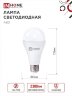 Лампа светодиодная LED-A65-VC 25Вт 230В Е27 6500К 2380Лм IN HOME - Фото 2