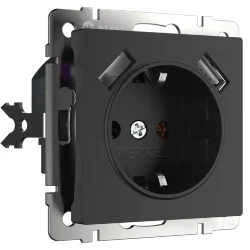Розетка с заземлением, шторками и USBх2 (черный матовый) W1171508