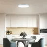 Потолочный светильник FR6129CL-L80GR Сприда / Sprida 80 Вт LED с пультом ДУ (Серый) FR6129CL-L80GR - фото 3