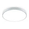 Потолочный светильник FR6129CL-L80GR Сприда / Sprida 80 Вт LED с пультом ДУ (Серый) FR6129CL-L80GR - фото 4