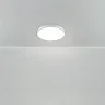 Потолочный светильник FR6129CL-L80GR Сприда / Sprida 80 Вт LED с пультом ДУ (Серый) FR6129CL-L80GR - фото 10
