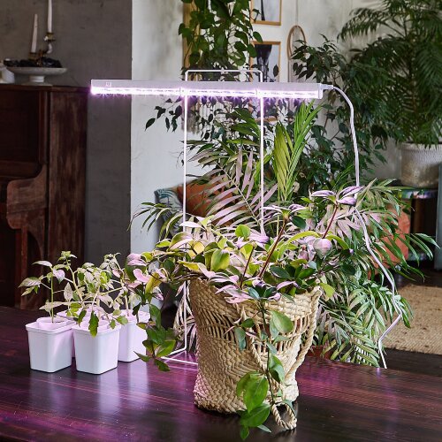 ULI-P12-10W-SPLE IP40 WHITE Светильник для растений светодиодный линейный, 560мм, выкл, на корпусе, Спектр для фотосинтеза, TM Uniel - фото 10