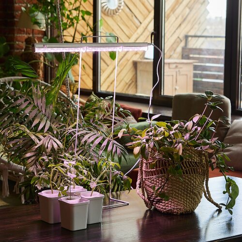 ULI-P12-10W-SPLE IP40 WHITE Светильник для растений светодиодный линейный, 560мм, выкл, на корпусе, Спектр для фотосинтеза, TM Uniel - фото 9