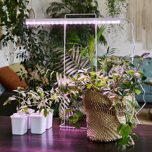 ULI-P12-10W-SPLE IP40 WHITE Светильник для растений светодиодный линейный, 560мм, выкл, на корпусе, Спектр для фотосинтеза, TM Uniel - фото 11