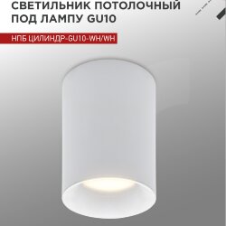 Светильник потолочный НПБ ЦИЛИНДР-GU10-WH/WH под лампу GU10 70x100мм белый IN HOME