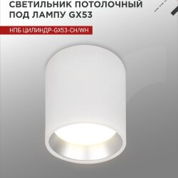 Светильник потолочный НПБ ЦИЛИНДР GX53-CH/WH под лампу GX53 95х80мм белый/хром IN HOME