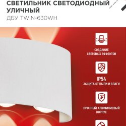 Светильник уличный светодиодный ДБУ TWIN-630WH 6Вт 3000К IP54 белый IN HOME