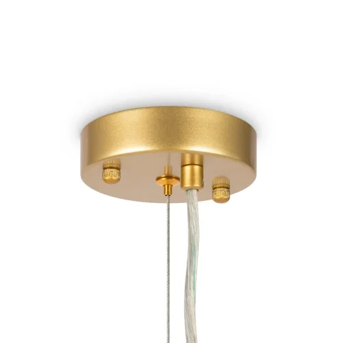 Подвесной светильник Freya FR5049PL-27G (Золото) - фото 8