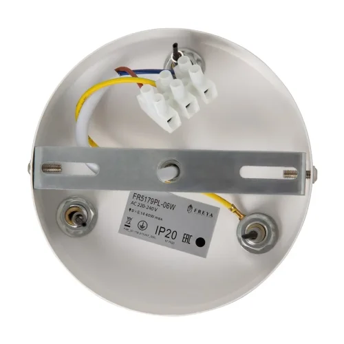 Подвесной светильник FR5179PL-06W Тинт E14x9 (Белый) FR5179PL-06W - фото 8