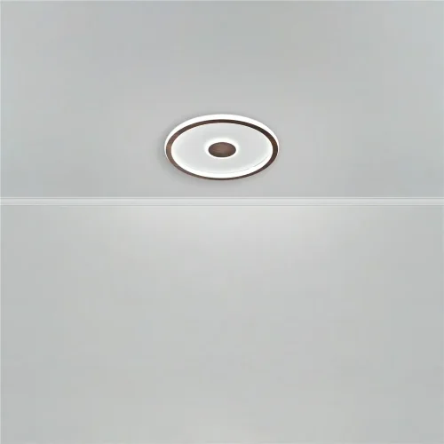 Потолочный светильник FR5421CL-L80BR Орбита / Orbit 80 Вт LED (Орех) FR5421CL-L80BR - фото 7