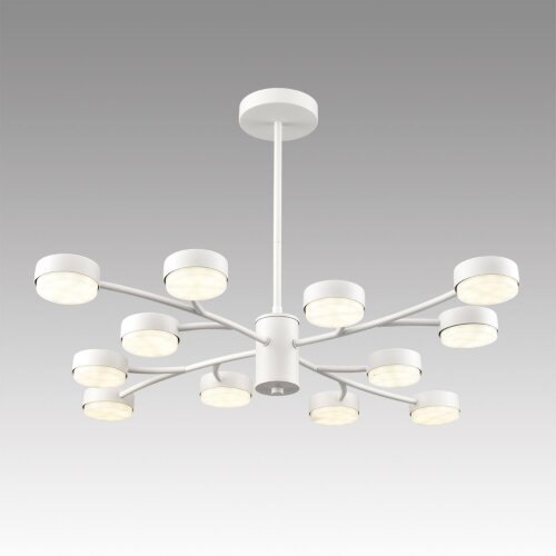 Люстра «LUMION» 8265/12, серия: TORINA (крепление на планке). Фото 2.