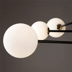 Потолочный светильник Freya FR5376CL-06B (Черный)