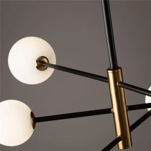 Потолочный светильник Freya FR5376CL-06B (Черный) - фото 5