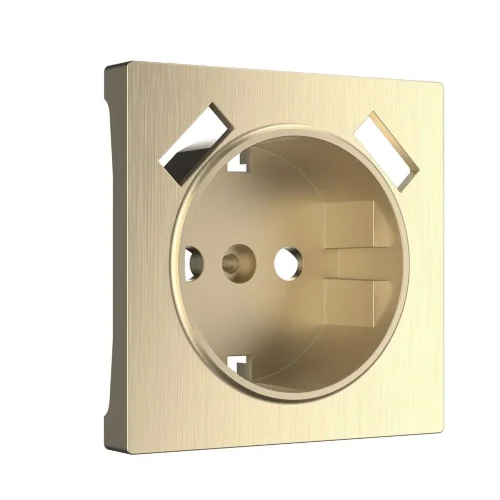 Накладка  для розетки USB (шампань рифленый) W1179510 - фото