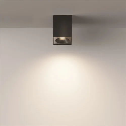 Потолочный светильник Зум / Zoom 1*GU10 10 Вт IP 54 (Черный) C030CL-01B - фото 5
