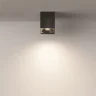 Потолочный светильник Зум / Zoom 1*GU10 10 Вт IP 54 (Черный) C030CL-01B - фото 5