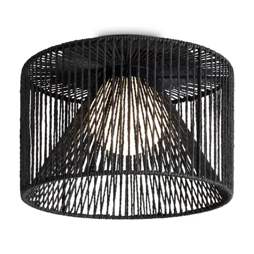 Потолочный светильник Freya FR5405CL-01B1 (Черный) - фото