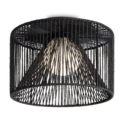 Потолочный светильник Freya FR5405CL-01B1 (Черный)