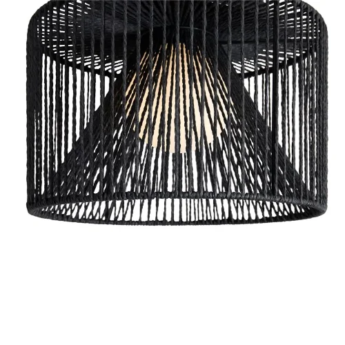 Потолочный светильник Freya FR5405CL-01B1 (Черный) - фото 3