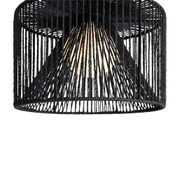 Потолочный светильник Freya FR5405CL-01B1 (Черный)