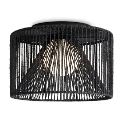 Потолочный светильник Freya FR5405CL-01B1 (Черный)