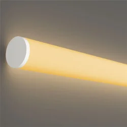 Гибкий неон Nemo D25 24В 14,4Вт/м 2700К IP65 5м (Белый)