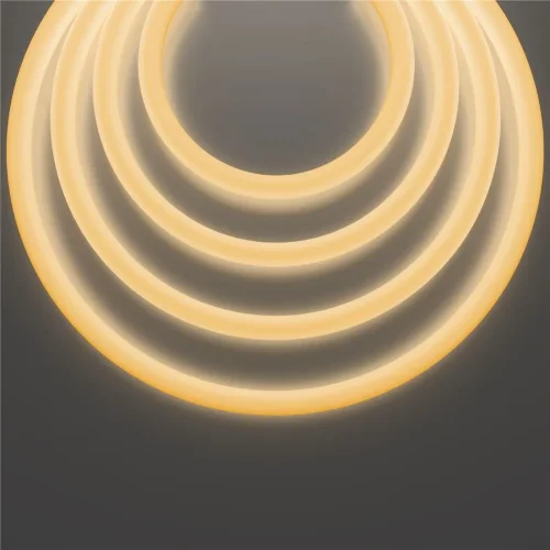 Гибкий неон Nemo D25 24В 14,4Вт/м 2700К IP65 5м (Белый) - фото 5