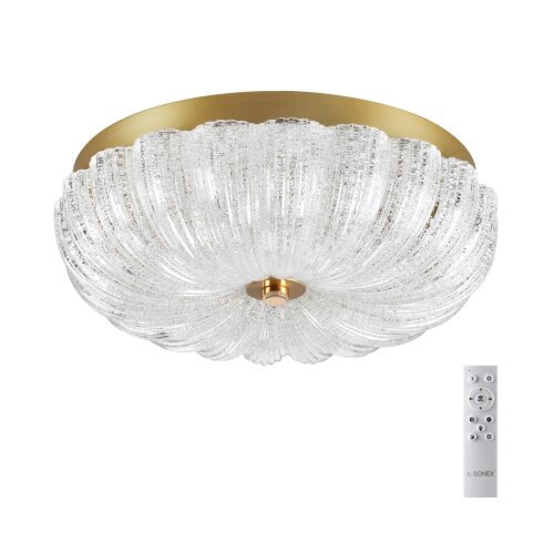 Потолочный светильник «Sonex» 7719/36L, серия: TESORO (крепление на планке). Фото 1.