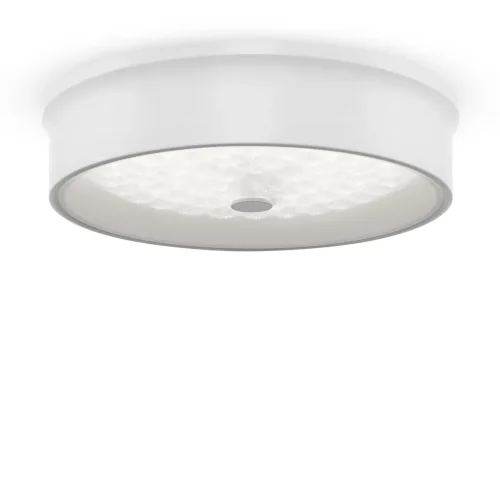 Потолочный светильник FR10011CL-L24W Элементы 24 Вт LED (Белый) FR10011CL-L24W - фото 2