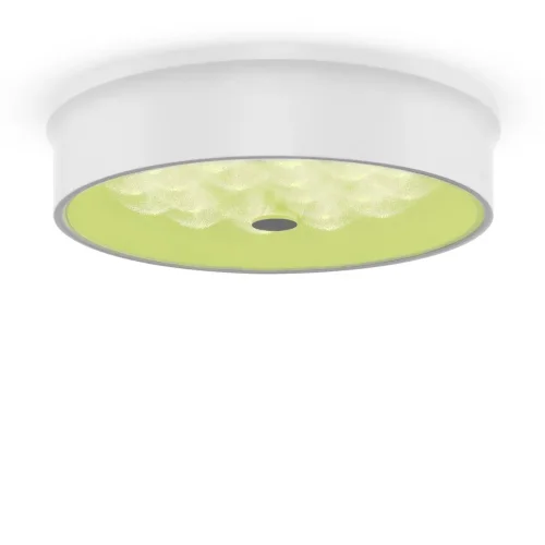 Потолочный светильник FR10011CL-L24W Элементы 24 Вт LED (Белый) FR10011CL-L24W - фото 3