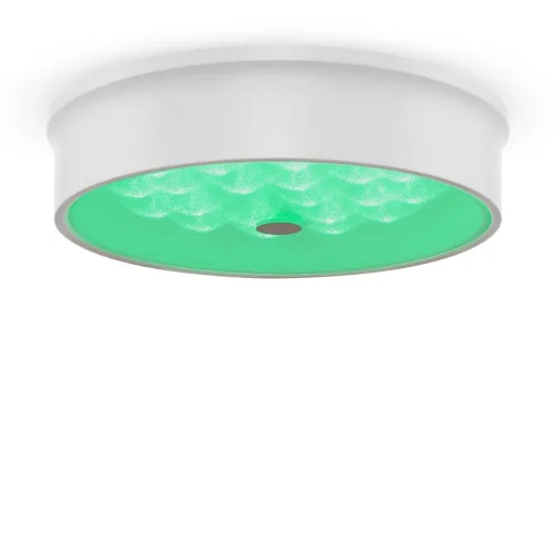 Потолочный светильник FR10011CL-L24W Элементы 24 Вт LED (Белый) FR10011CL-L24W - фото 4