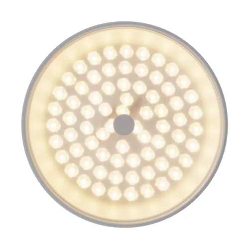 Потолочный светильник FR10011CL-L24W Элементы 24 Вт LED (Белый) FR10011CL-L24W - фото 8
