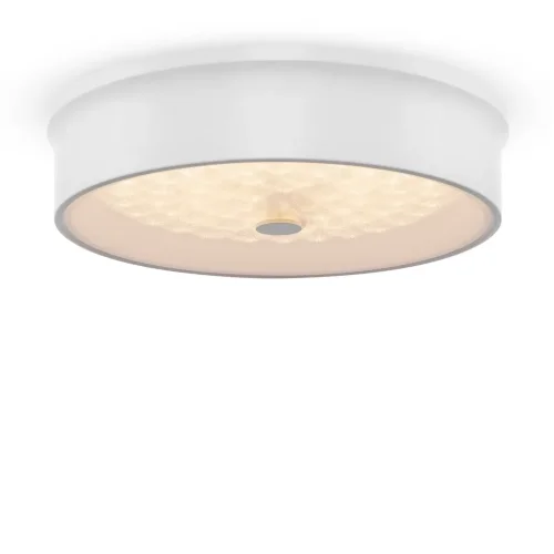 Потолочный светильник FR10011CL-L24W Элементы 24 Вт LED (Белый) FR10011CL-L24W - фото 10