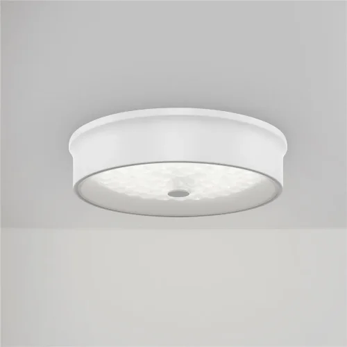 Потолочный светильник FR10011CL-L24W Элементы 24 Вт LED (Белый) FR10011CL-L24W - фото 16