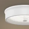 Потолочный светильник FR10011CL-L24W Элементы 24 Вт LED (Белый) FR10011CL-L24W - фото 19