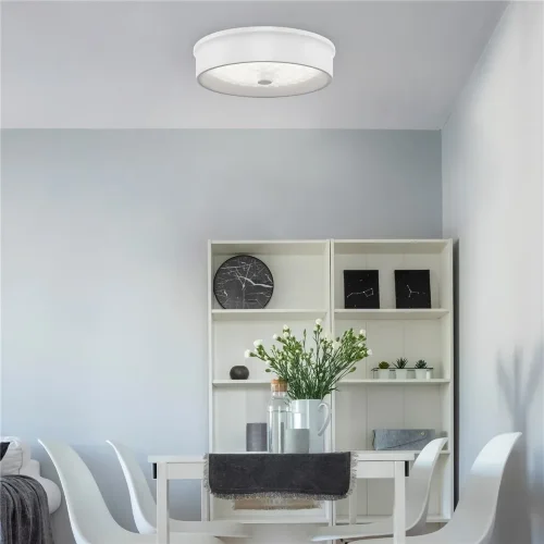 Потолочный светильник FR10011CL-L24W Элементы 24 Вт LED (Белый) FR10011CL-L24W - фото 20
