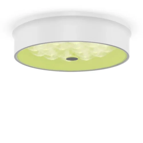 Потолочный светильник FR10011CL-L24W Элементы 24 Вт LED (Белый) FR10011CL-L24W - фото 21