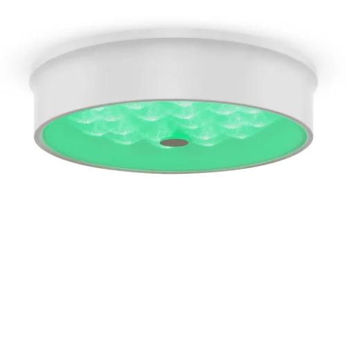 Потолочный светильник FR10011CL-L24W Элементы 24 Вт LED (Белый) FR10011CL-L24W - фото 22