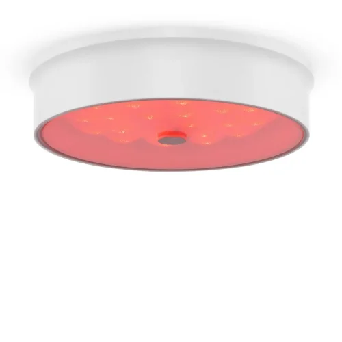 Потолочный светильник FR10011CL-L24W Элементы 24 Вт LED (Белый) FR10011CL-L24W - фото 25