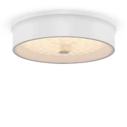 Потолочный светильник FR10011CL-L24W Элементы 24 Вт LED (Белый) FR10011CL-L24W