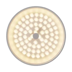 Потолочный светильник FR10011CL-L24W Элементы 24 Вт LED (Белый) FR10011CL-L24W