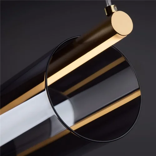 Подвесной светильник Freya FR5395PL-L12B (Черный) - фото 6