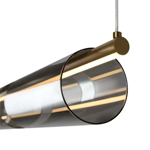 Подвесной светильник Freya FR5395PL-L12B (Черный) - фото 11