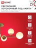 Люстра под лампу AURORA LUNA-6G9-LT 6xG9 матовые плафоны, латунный корпус IN HOME - Фото 3