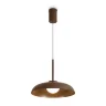 Подвесной светильник Движение / Movement (Коричневый) FR5602PL-L5BR1 - фото