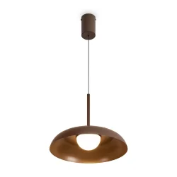 Подвесной светильник Движение / Movement (Коричневый) FR5602PL-L5BR1