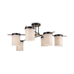 Потолочный светильник Freya FR5377CL-06B (Черный)