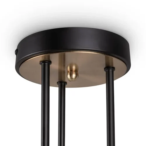 Потолочный светильник Freya FR5377CL-06B (Черный) - фото 6