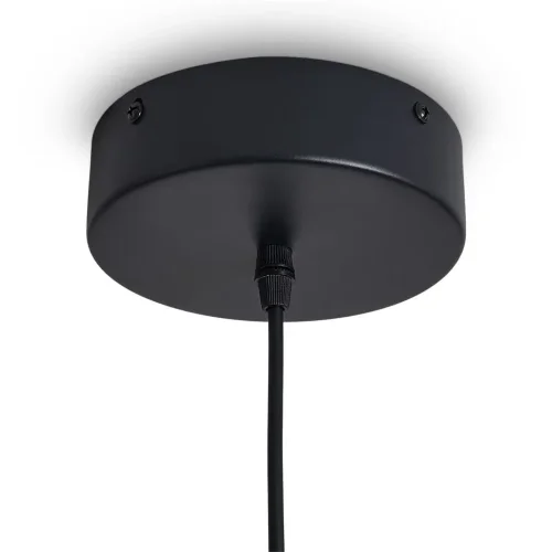 Подвесной светильник Freya FR6181PL-L9B (Черный) - фото 2